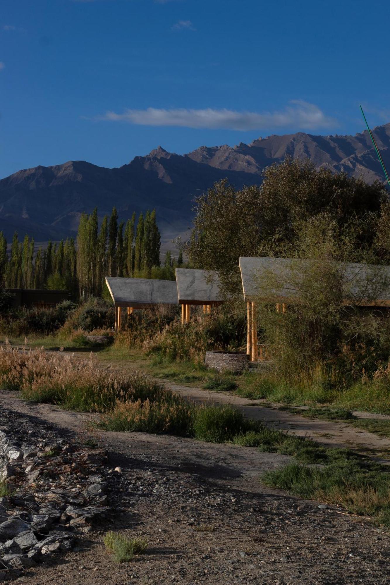 The Indus River Camp Leh Extérieur photo