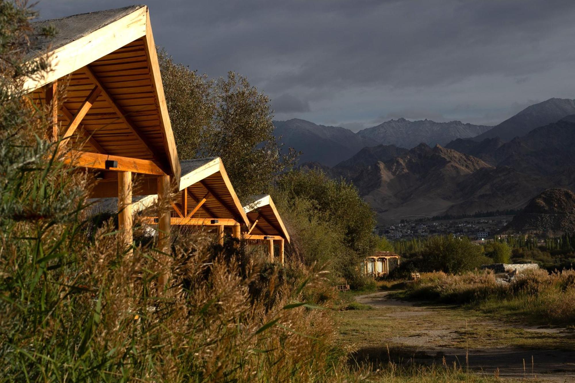The Indus River Camp Leh Extérieur photo
