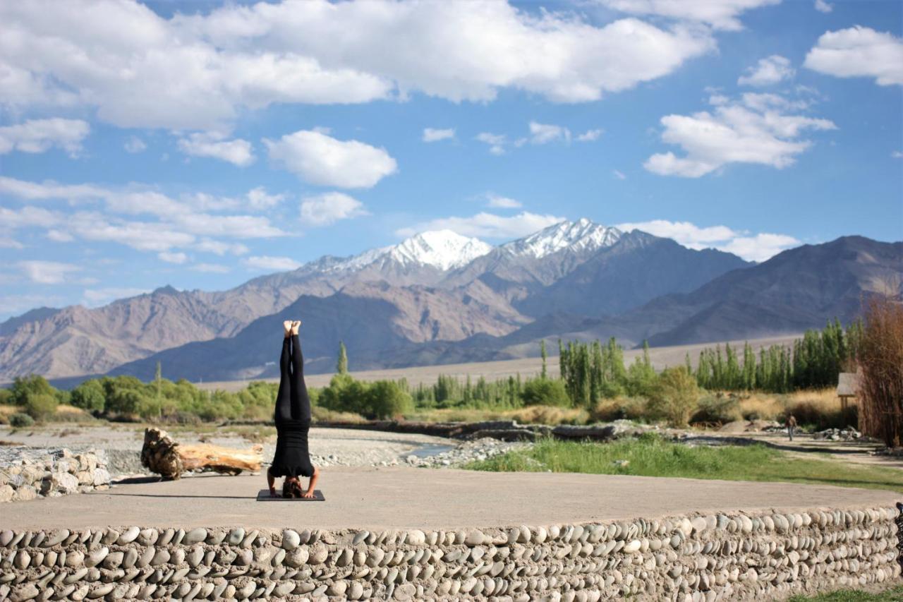 The Indus River Camp Leh Extérieur photo